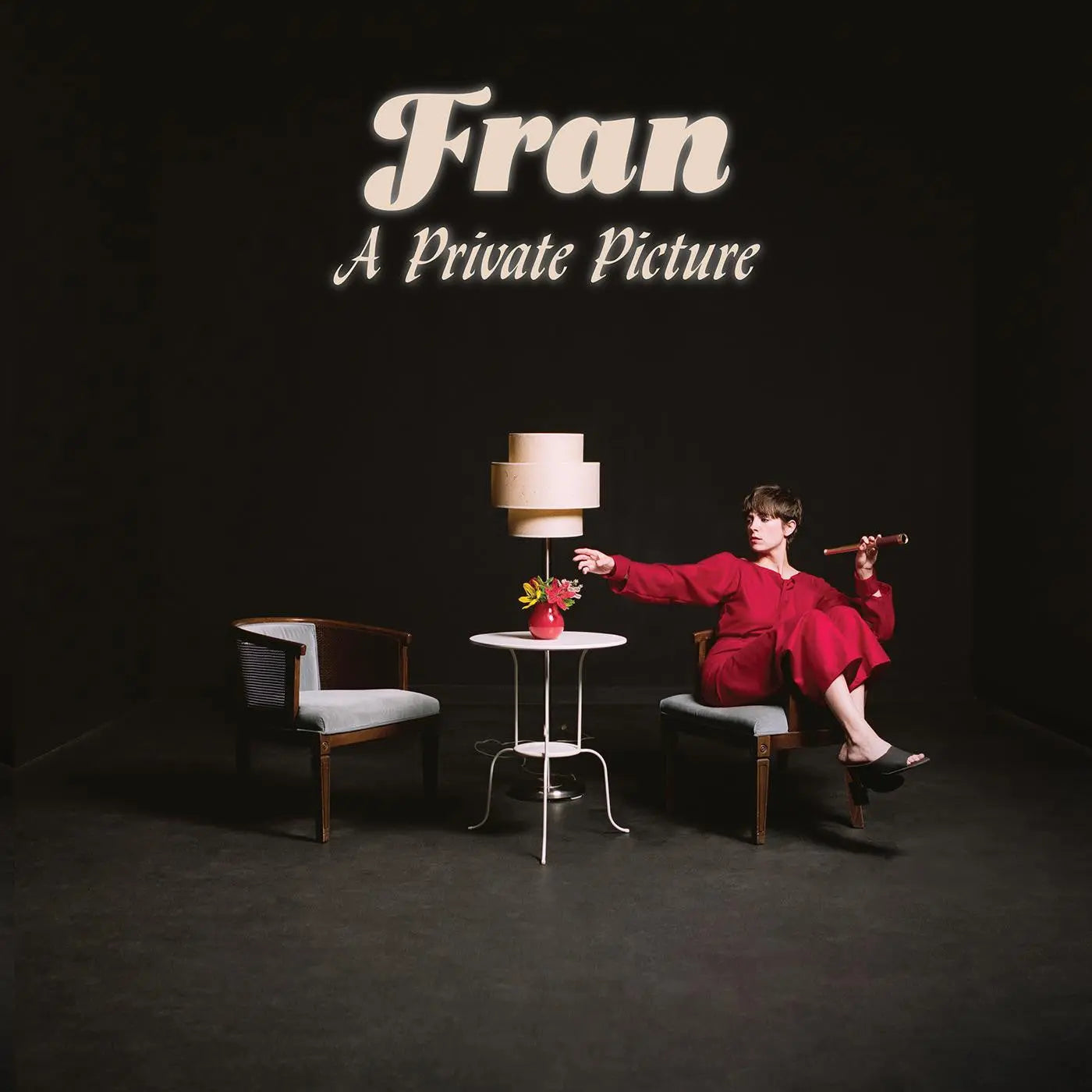 Fran - A Private Picture [Vinyl LP]