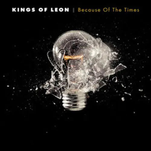 Kings of Leon - Because of the Times (180 Gram Vinyl, Remastered, Reissue) [2LP Vinyl]