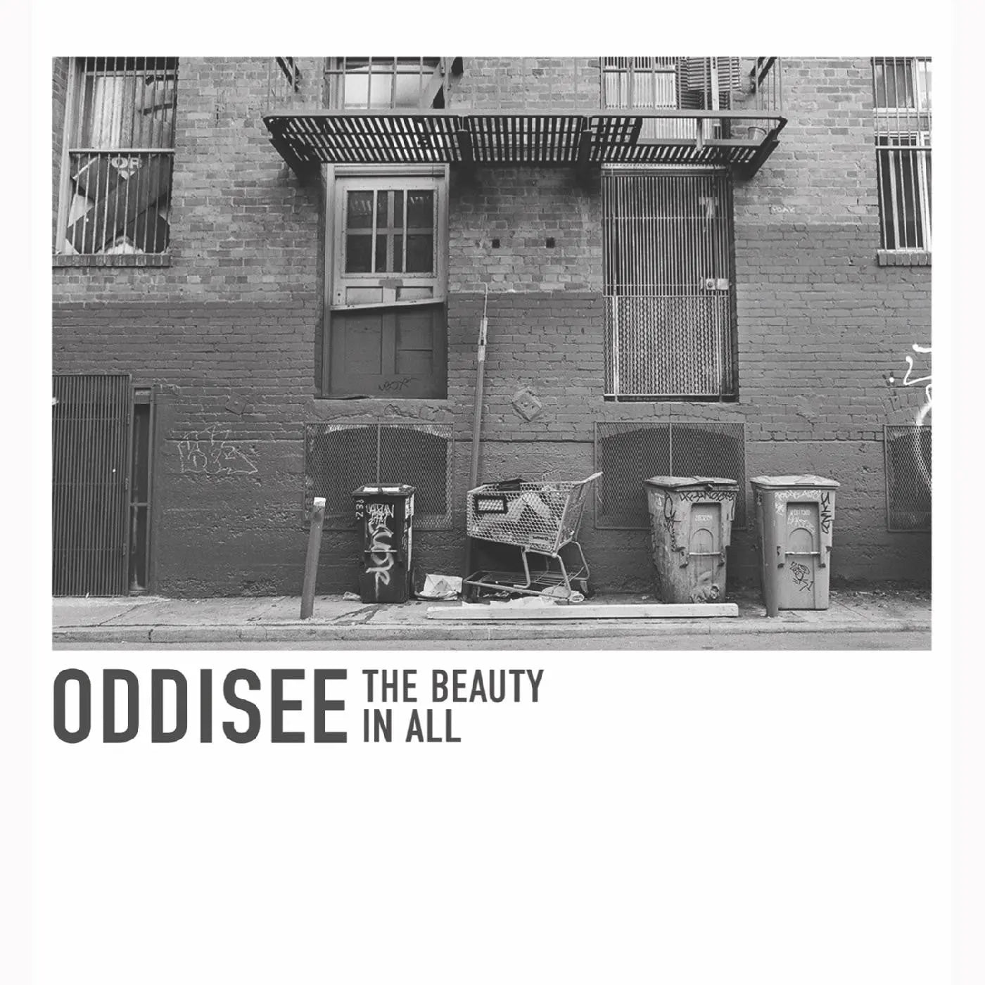 Oddisee - The Beauty In All [White Vinyl Alternate Cover Art]