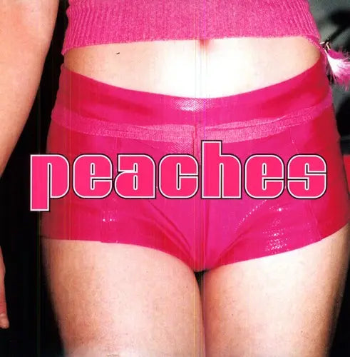 Peaches - The Teaches Of Peaches [Explicit Vinyl LP]