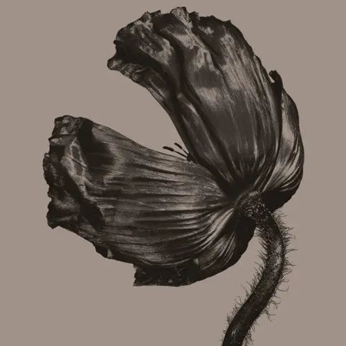 Pet Shop Boys - Release [2017 Remastered Version,180-Gram, Vinyl LP]