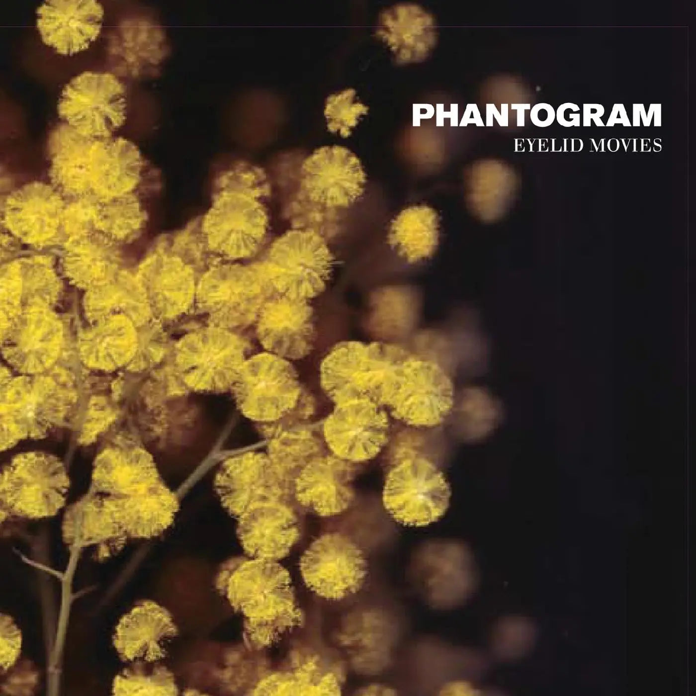 Phantogram - Eyelid Movies [Deluxe Edition Black Yellow Colored Vinyl]