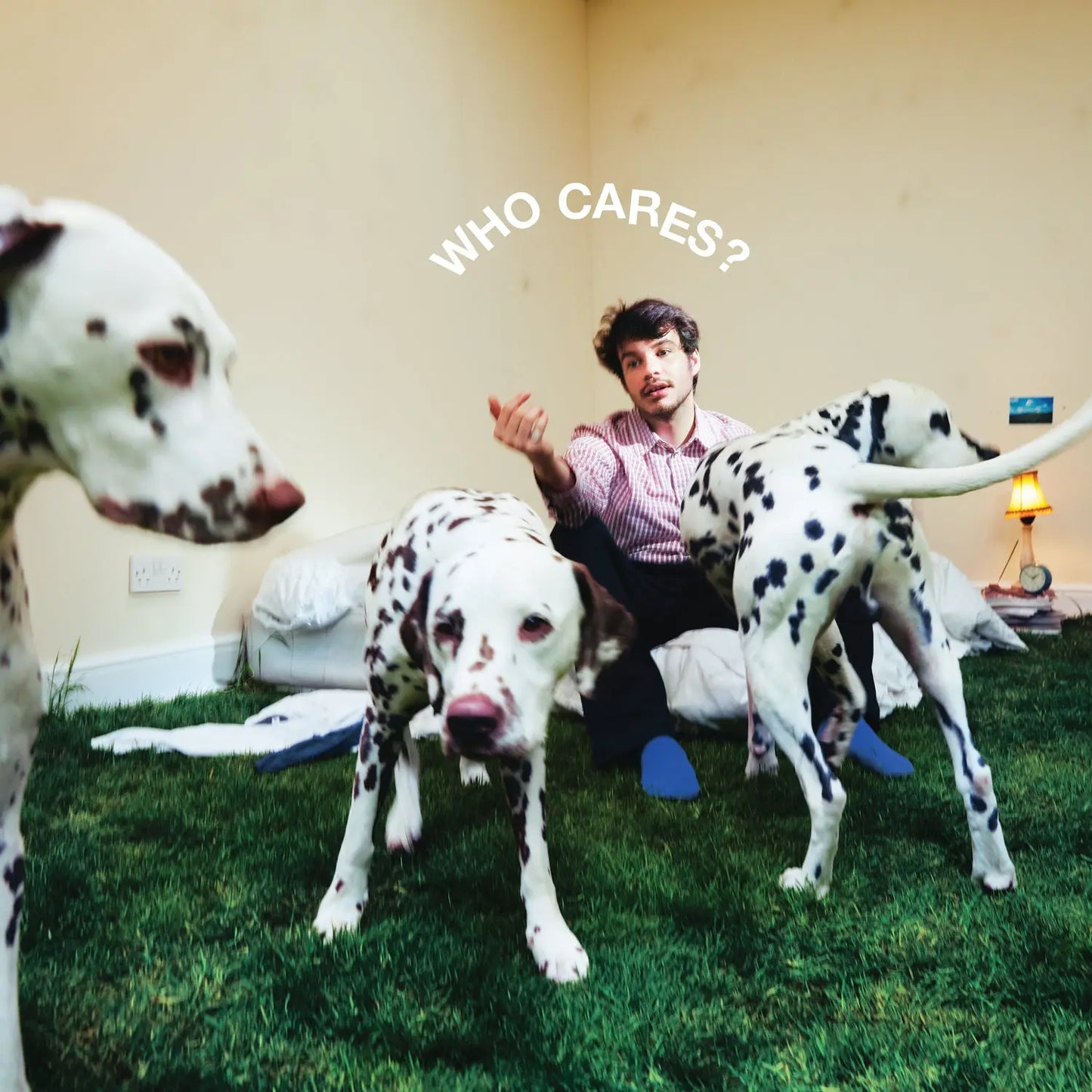 Rex Orange County - Who Cares? [Vinyl]