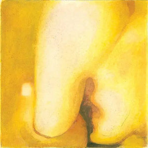 Smashing Pumpkins - Pisces Iscariot [180 Gram Vinyl 2LP]