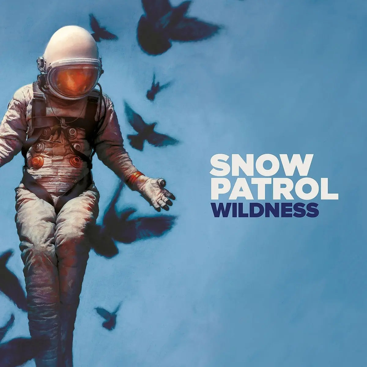 Snow Patrol - Wildness [Vinyl]