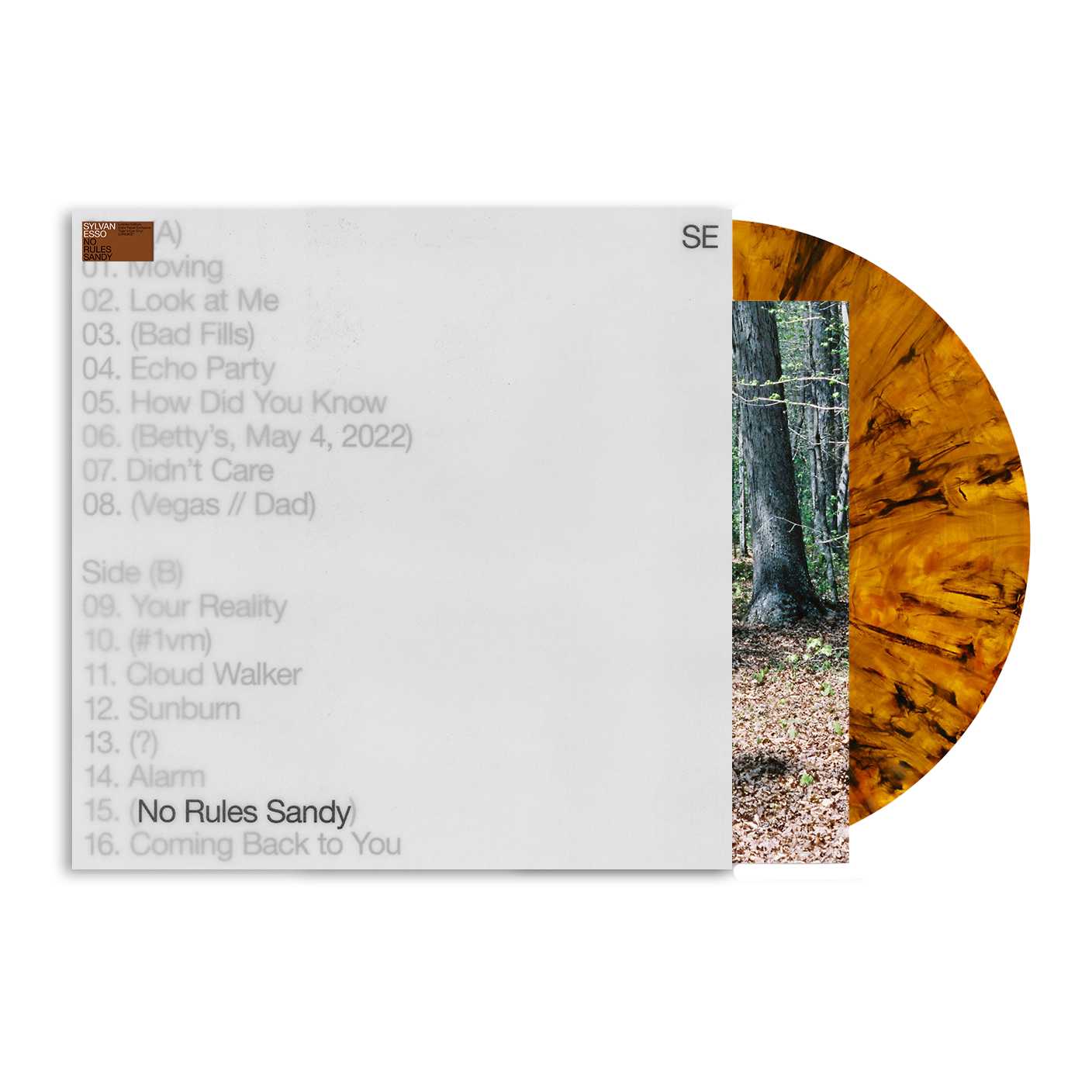Sylvan Esso - No Rules Sandy [Limited Edition Tiger's Eye Colored Vinyl Indie Exclusive]