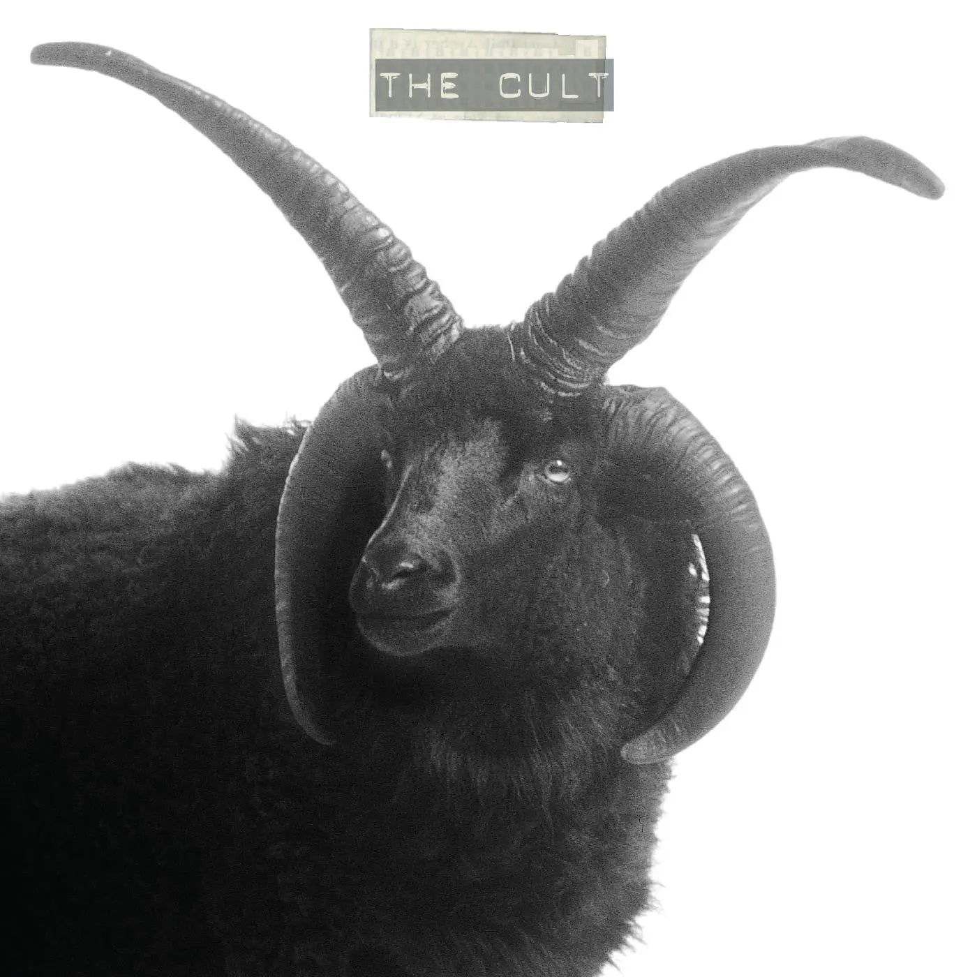The Cult - The Cult (Black Sheep) [2LP White Vinyl]