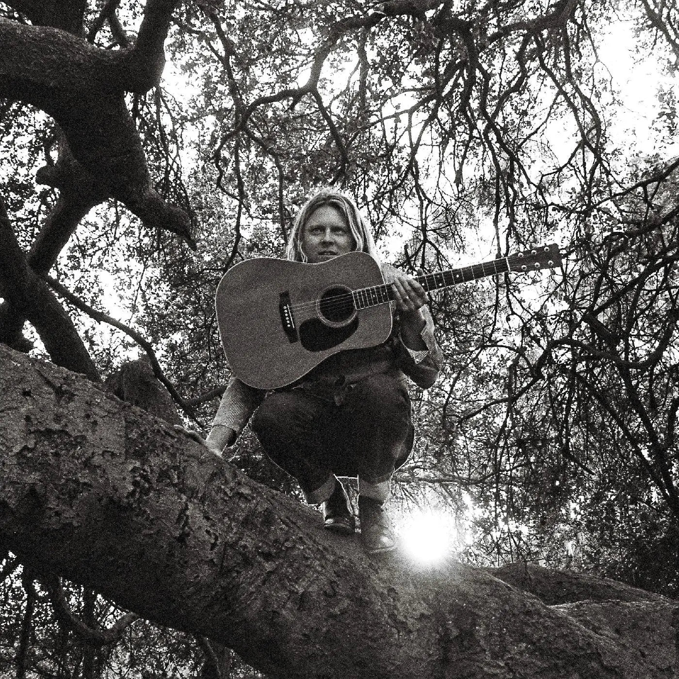 Ty Segall - Hello Hi [Vinyl LP]