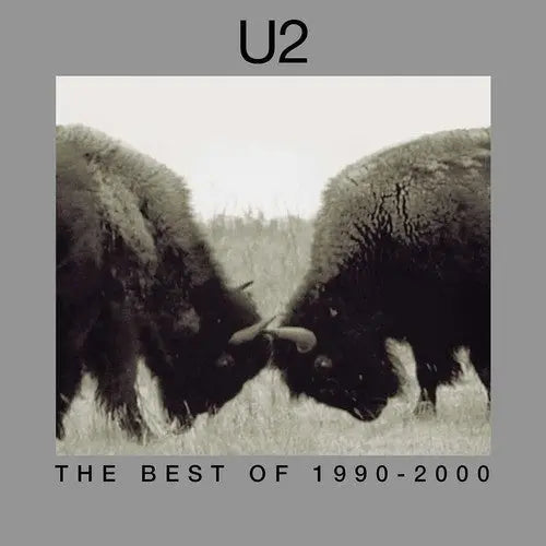 U2 - The Best Of 1990-2000 [180-Gram Vinyl LP]