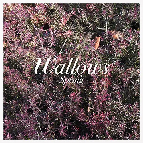 Wallows - Spring [Vinyl]